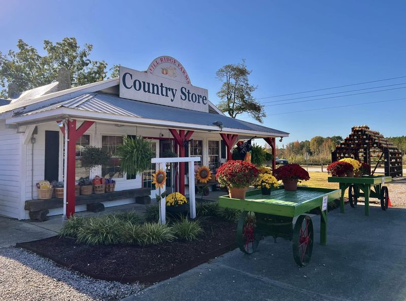 Hill Ridge Farms Country Store with fall decorations and pumpkins in Youngsville, North Carolina.